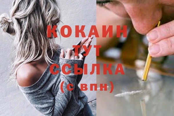 дживик Абаза