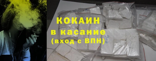 дживик Абаза
