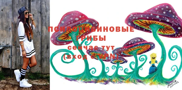 дживик Абаза