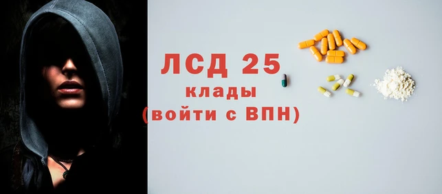 ГАЛЛЮЦИНОГЕННЫЕ ГРИБЫ Абинск