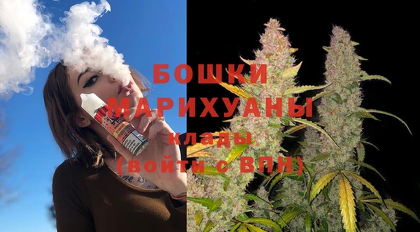 PSILOCYBIN Армянск