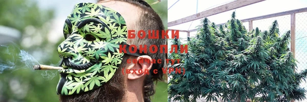 ГАЛЛЮЦИНОГЕННЫЕ ГРИБЫ Абинск
